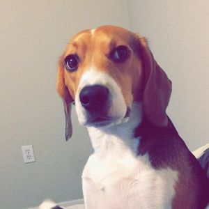 Meet your Posher, Bianca